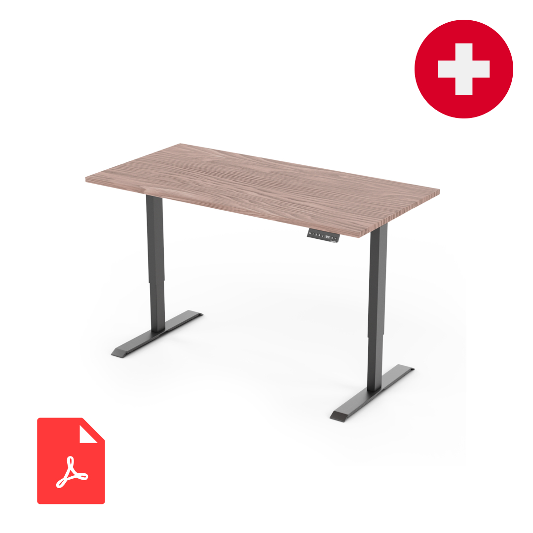 DESK Montageanleitung Schweiz